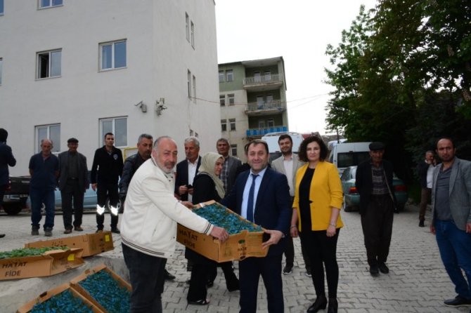 Çiftçilere karpuz ve domates fidesi dağıtıldı