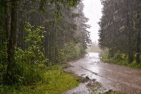Meteorolojiden Hakkari için uyarı