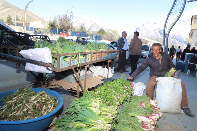 HAKKARİ’DE ŞİFALI PANCARA BÜYÜK İLGİ