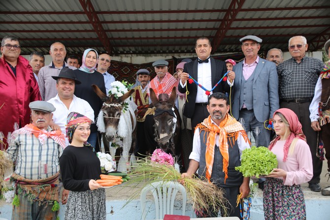 Türkücü Aydın Aydın eşeklere tercüman oldu