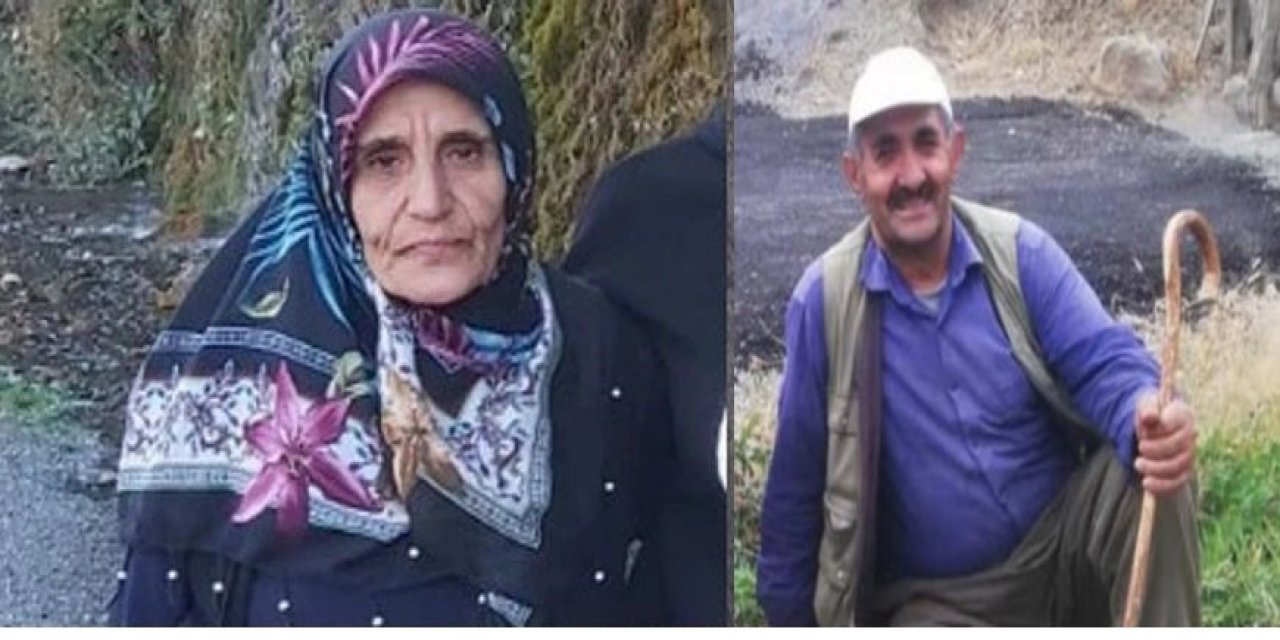 Hakkari’de 60 yaşındaki kadın kayboldu: Arama çalışmaları sürüyor