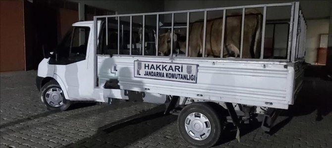 Hakkari'de 49 şüpheli hakkında işlem yapıldı