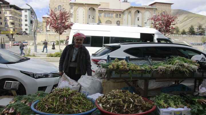 Hakkari’de şifalı ot tezgahları kuruldu