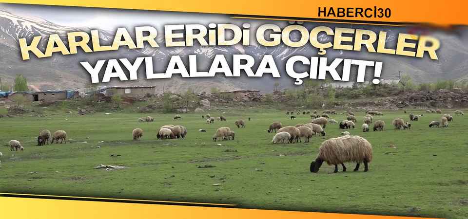 Beytüşşebap'ta göçerler yaylaya ulaştı