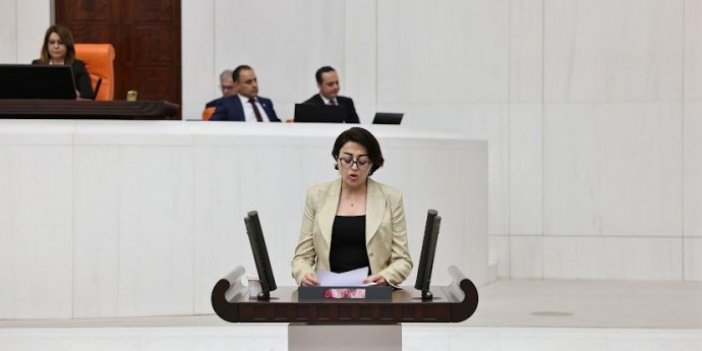 Milletvekili Bartın O haberimizi meclis gündemine taşıdı!