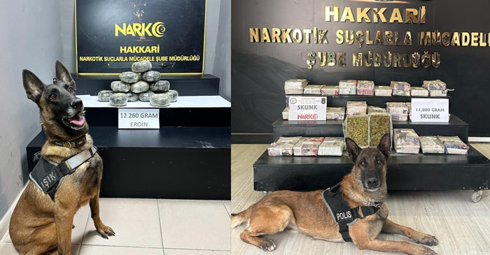 HAKKARİ'DE 24 KİLO 60 UYUŞTURUCU ELE GEÇİRİLDİ