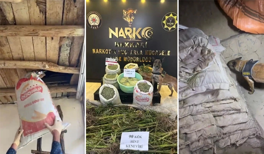    Hakkari'de uyuşturucu operasyonu