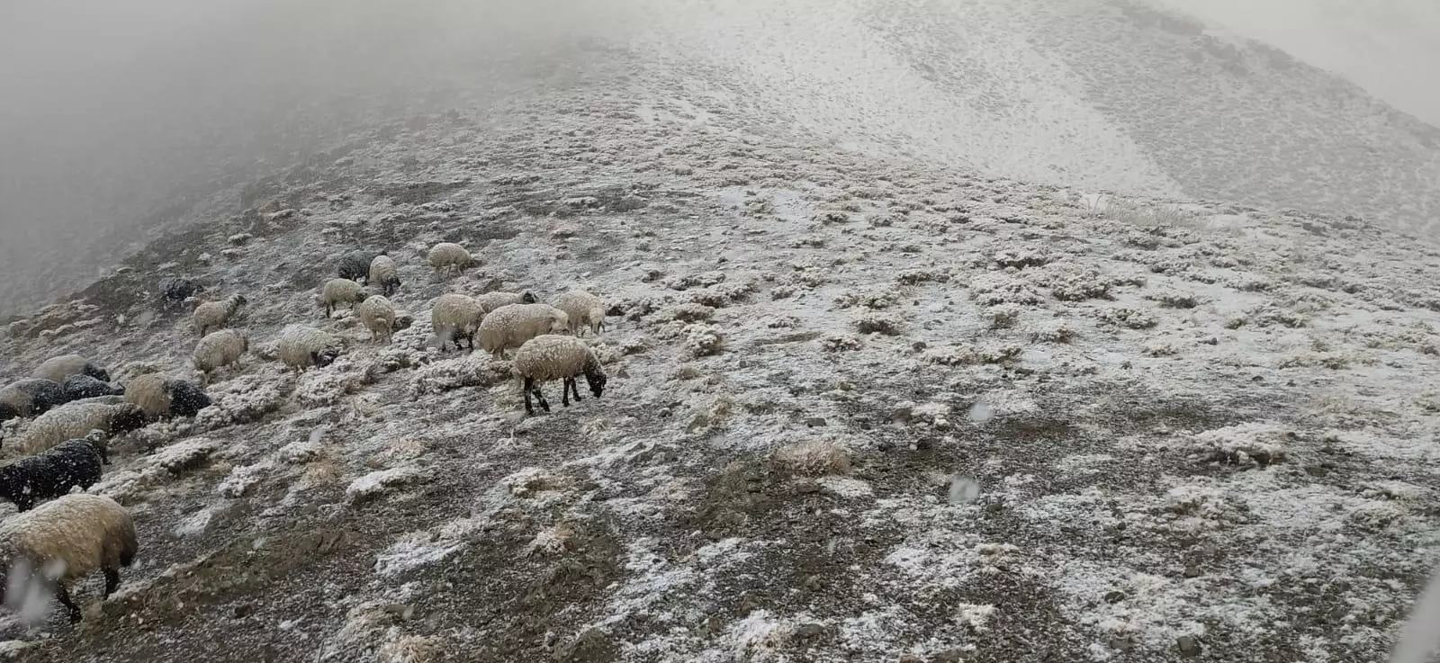 Hakkari'nin Yüksek kesimlerine kar yağdı