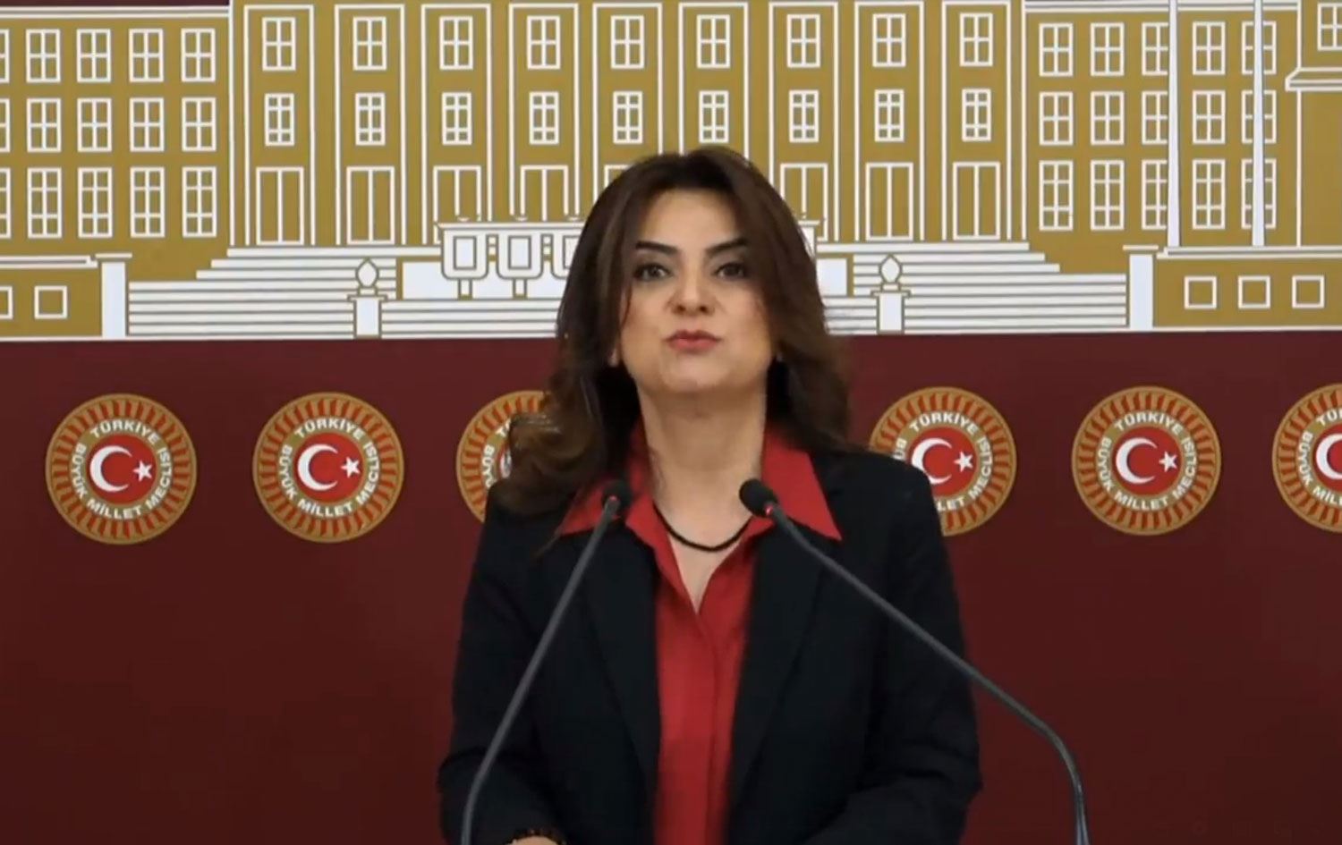 Koçyiğit: ‘Kürtler hariç’ diyerek normalleşemezsiniz
