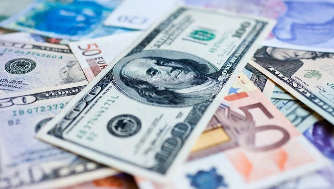 Dolar ve euroda son durum!