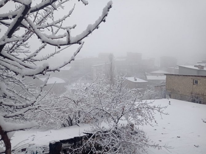 Hakkari de kar yağışı 