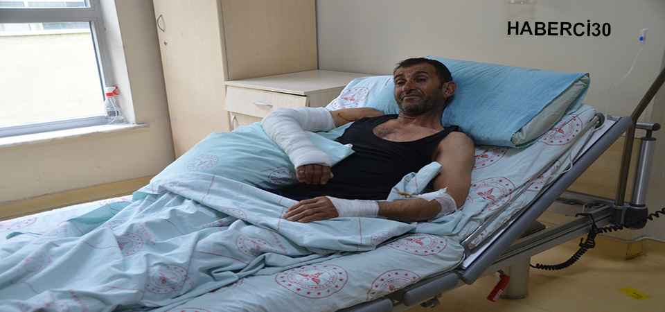  Uçkun toplamaya giden kişiye ayı saldırdı