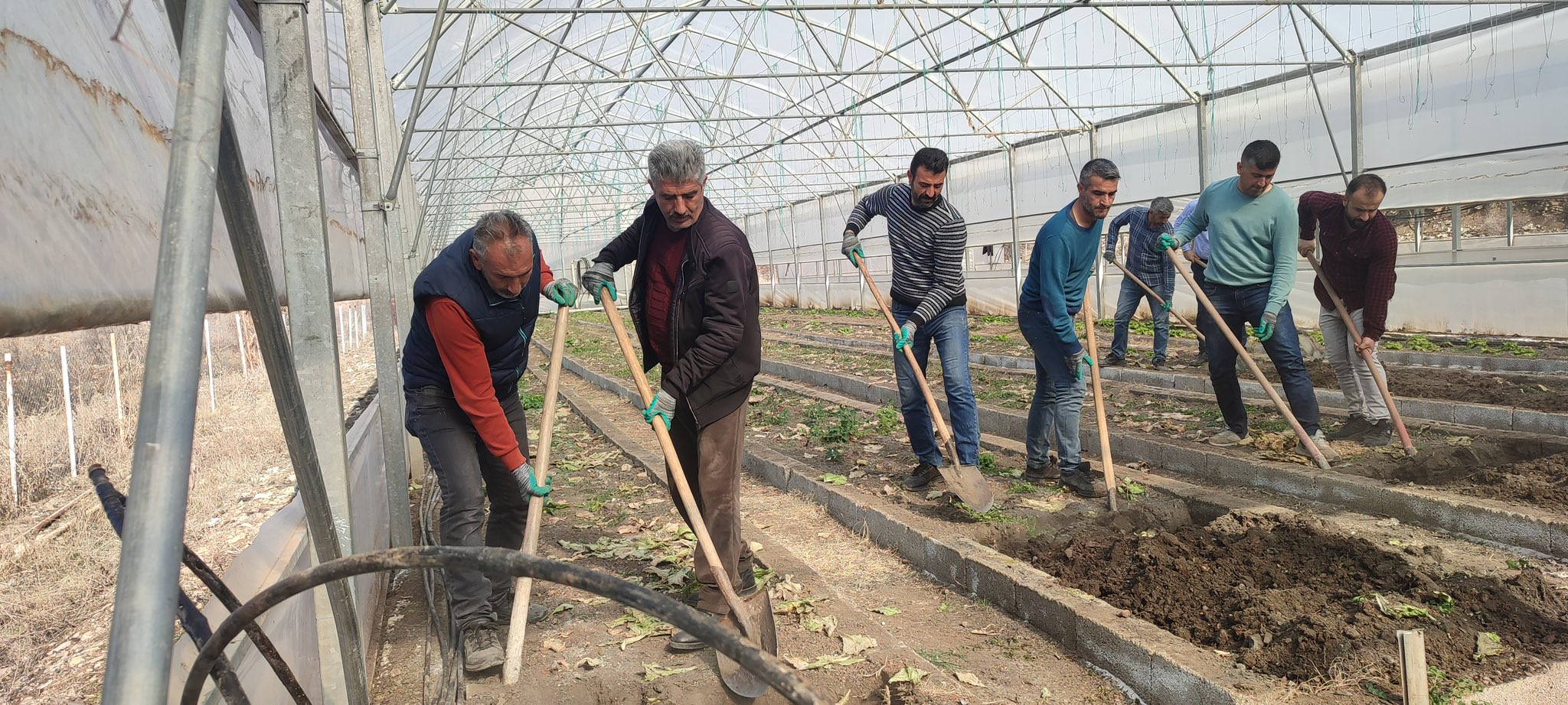 Çukurca seralarında üretim devam ediyor