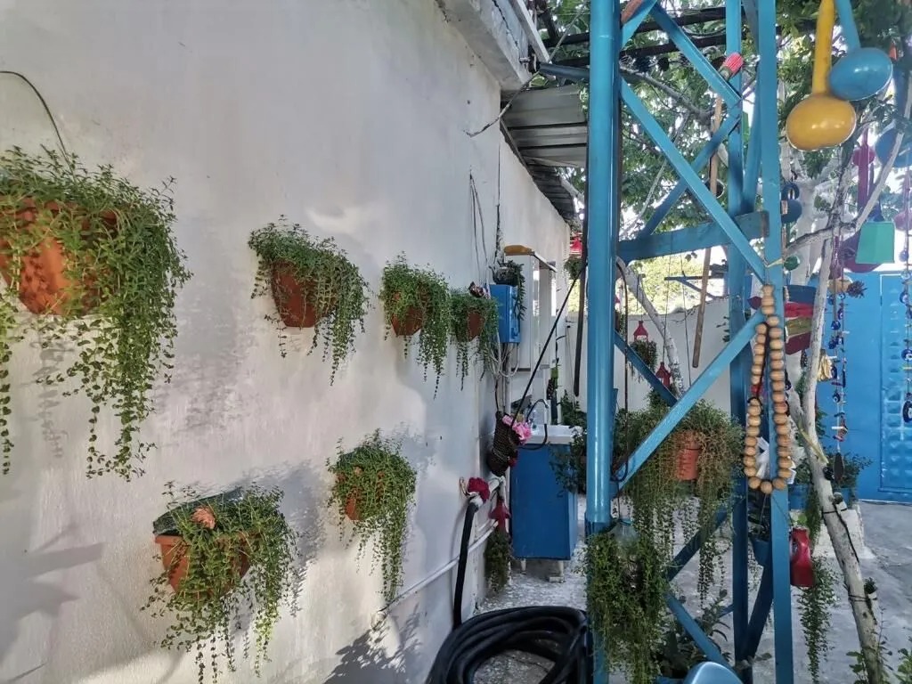 SIFIR ATIKLA EVİNİ OTANTİK BAHÇEYE DÖNÜŞTÜRDÜ
