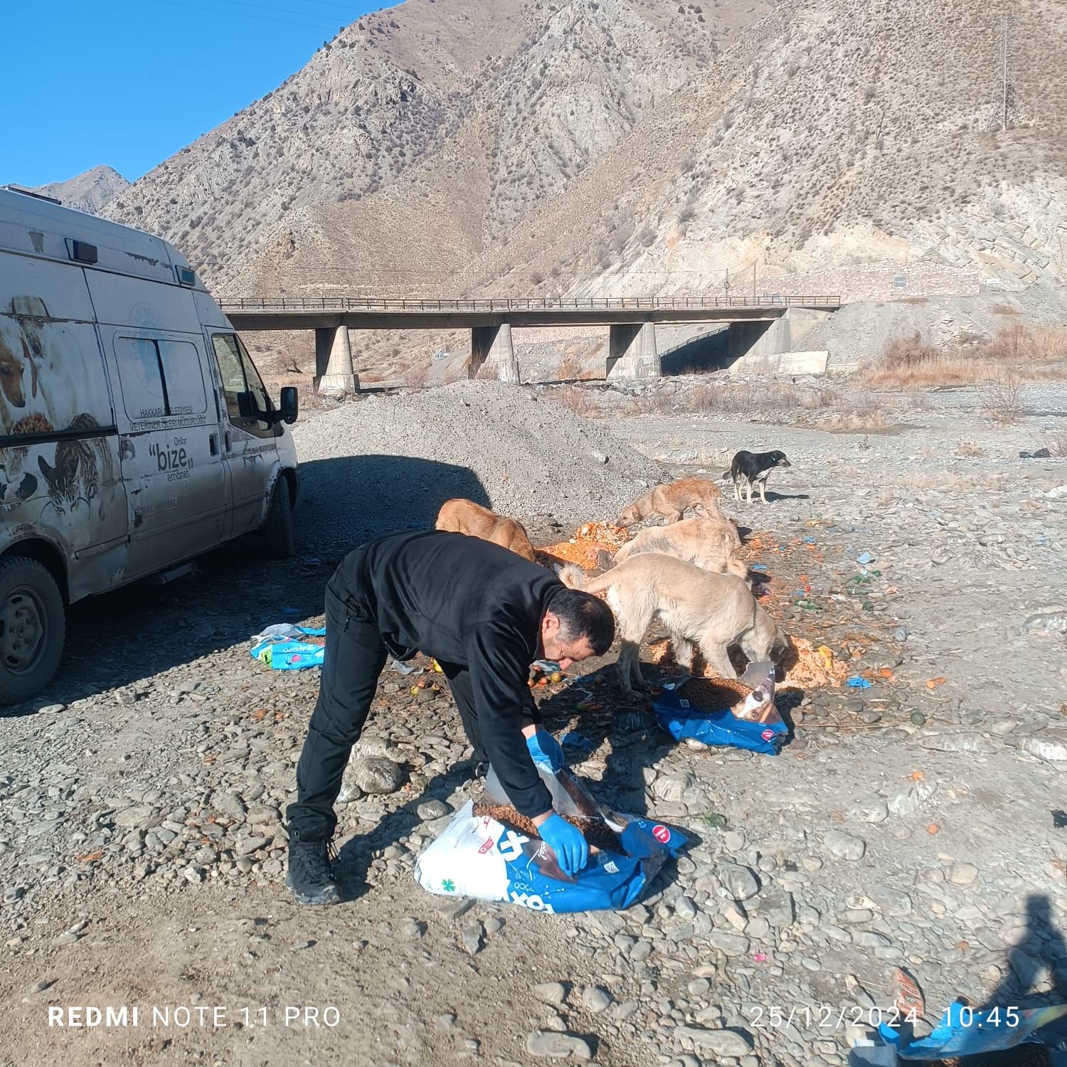 Hakkari’de Sahipsiz Can Dostlar Unutulmadı
