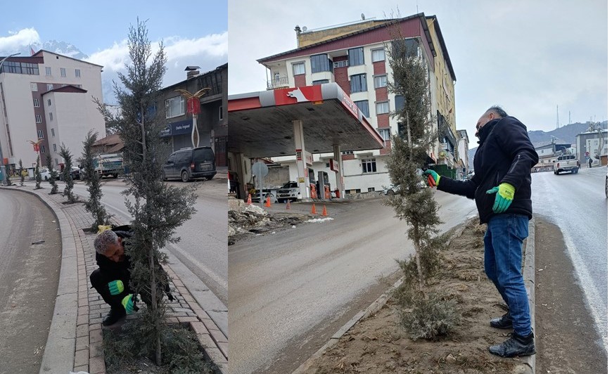 Hakkari’de Park ve Ağaç Bakım Çalışmaları Başladı