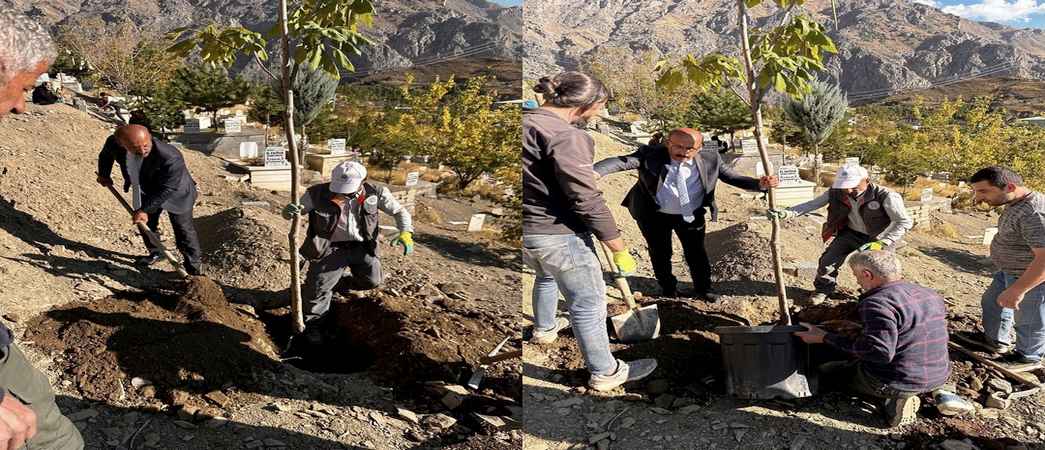 Hakkari belediyesi mezarlıkları ağaçlandırıyor