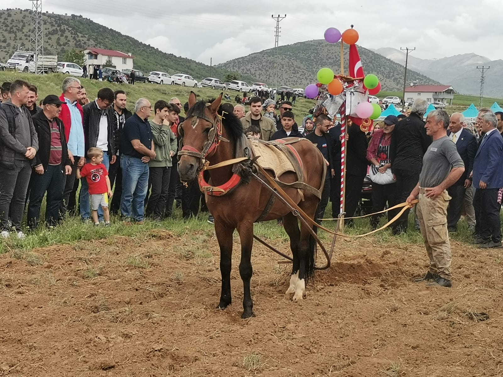 DAĞISTAN HALKININ KARA SABANLA ÖKÜZ KOŞUMU