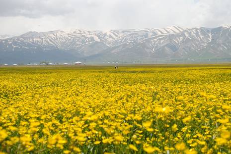 Yüksekova ovası renga renk
