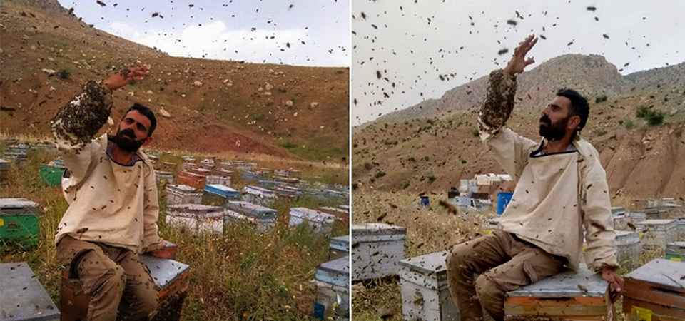Hakkâri’de Arılara fısıldayan adam