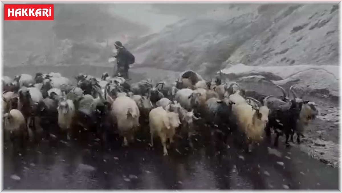 Kara yakalanan kuzuların imdadına okul müdürleri yetişti