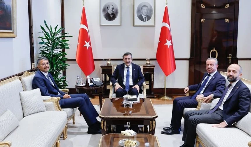 Vali Çelik, Cumhurbaşkanı Yardımcısı Cevdet Yılmaz’ı ziyaret etti
