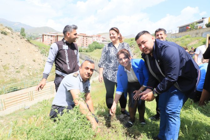 Hakkari'de 