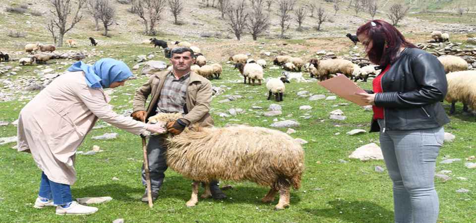 Hakkari’de İŞKUR’un dokunduğu hayatlar