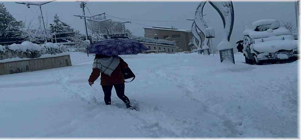 Hakkari'de 365 yerleşim yolu ulaşıma kapandı